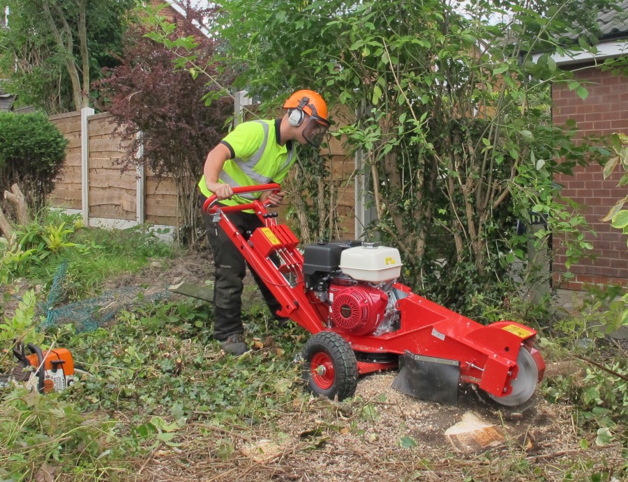 Rogneuse de souche FSI B20